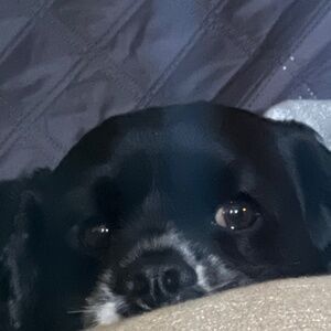 Meet your Posher, Keegan